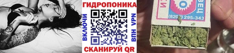 Конопля марихуана Суоярви